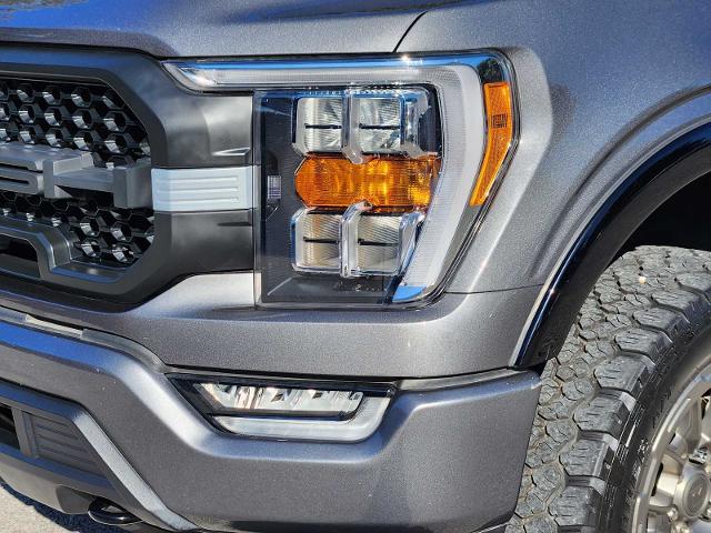 2021 Ford F-150 Vehicle Photo in DENTON, TX 76210-9321