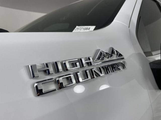 2024 Chevrolet Silverado 2500 HD Vehicle Photo in GILBERT, AZ 85297-0402