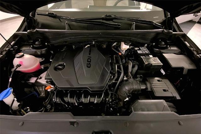 2024 Kia Sportage Vehicle Photo in Lees Summit, MO 64086