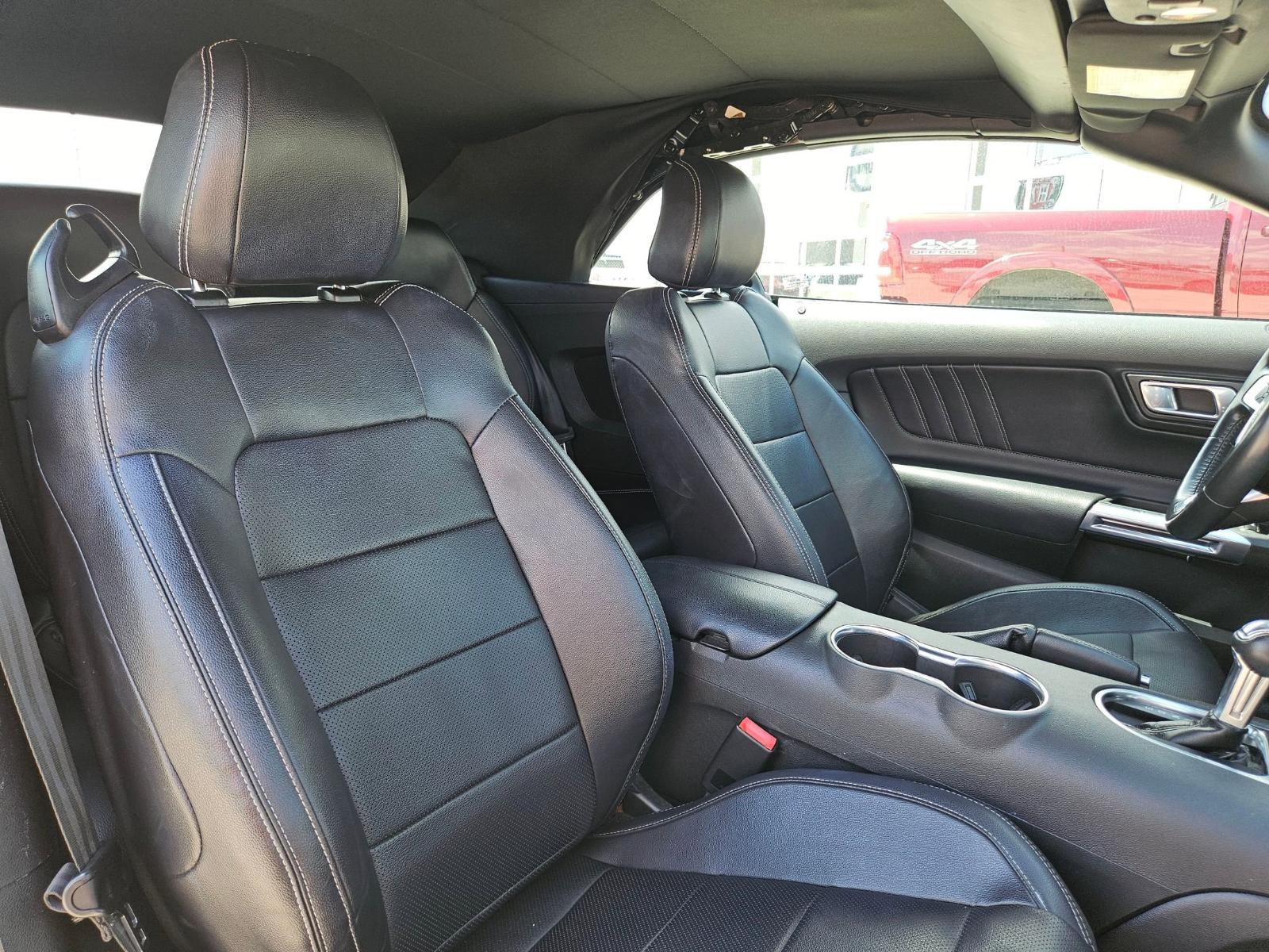 2023 Ford Mustang Vehicle Photo in Seguin, TX 78155