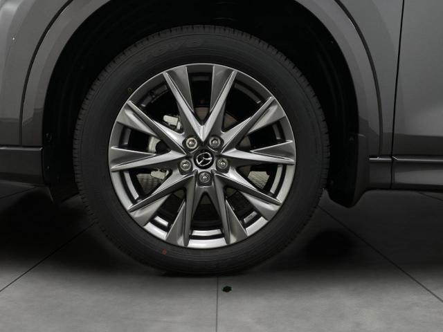 2025 Mazda CX-5 Vehicle Photo in Appleton, WI 54913