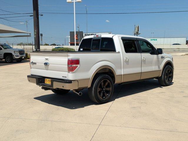 2012 Ford F-150 Vehicle Photo in SELMA, TX 78154-1459