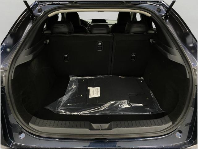 2025 Mazda CX-30 Vehicle Photo in Appleton, WI 54913