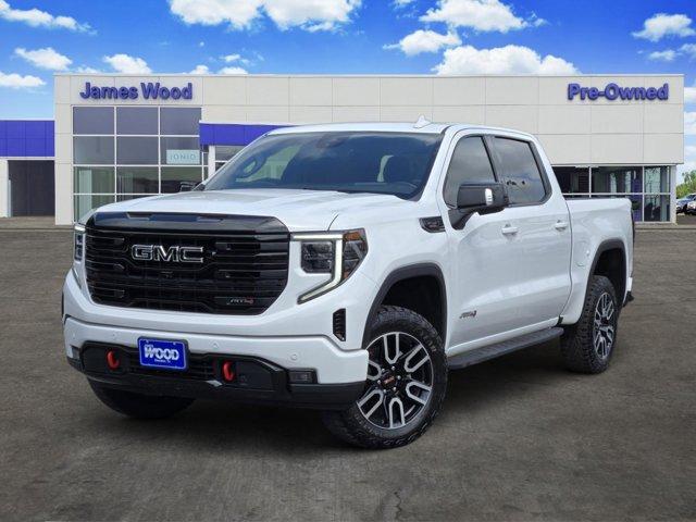 2024 GMC Sierra 1500 Vehicle Photo in Decatur, TX 76234