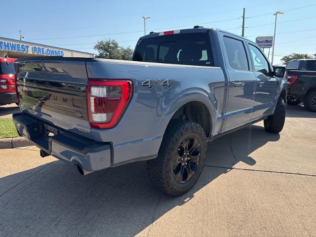 2023 Ford F-150 Vehicle Photo in Weatherford, TX 76087