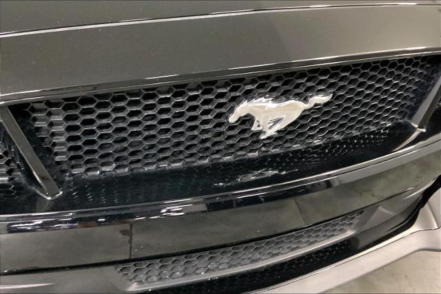 2023 Ford Mustang Vehicle Photo in INDEPENDENCE, MO 64055-1314