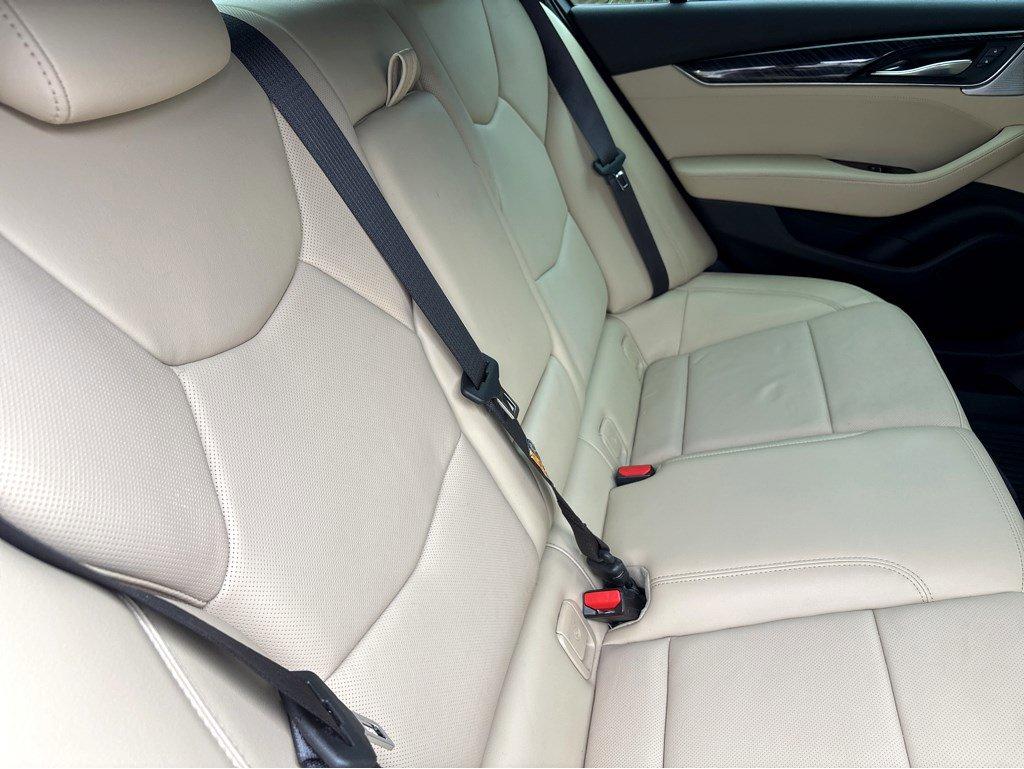 2024 Cadillac CT5 Vehicle Photo in SAVANNAH, GA 31406-4513