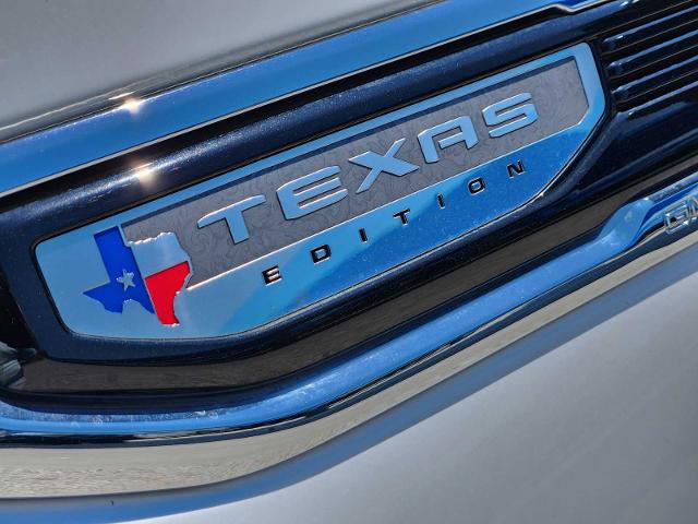 2019 GMC Sierra 1500 Vehicle Photo in DENTON, TX 76210-9321