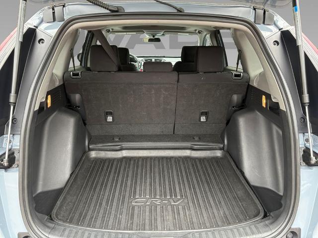 2022 Honda CR-V Vehicle Photo in Savannah, GA 31419