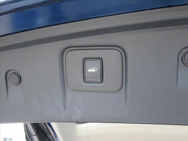 2019 Nissan Murano Vehicle Photo in LEESBURG, FL 34788-4022