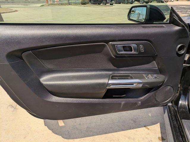 2019 Ford Mustang Vehicle Photo in SELMA, TX 78154-1459