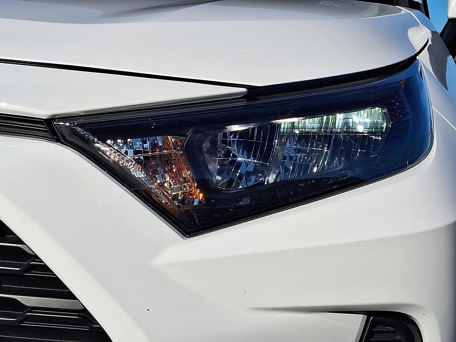 2019 Toyota RAV4 Vehicle Photo in Easton, PA 18045