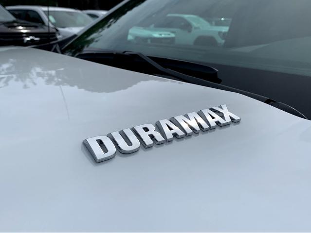 2025 Chevrolet Silverado 1500 Vehicle Photo in BEAUFORT, SC 29906-4218