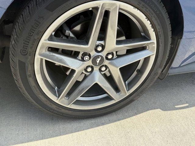 2021 Ford F-150 Vehicle Photo in SELMA, TX 78154-1459