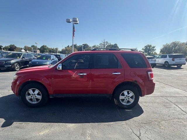 2009 Ford Escape Vehicle Photo in ROCHESTER HILLS, MI 48307-2741