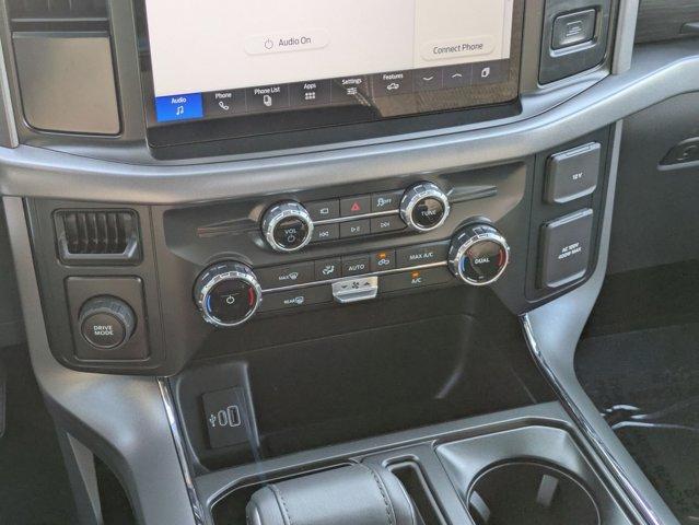 2025 Ford F-150 Vehicle Photo in SELMA, TX 78154-1460