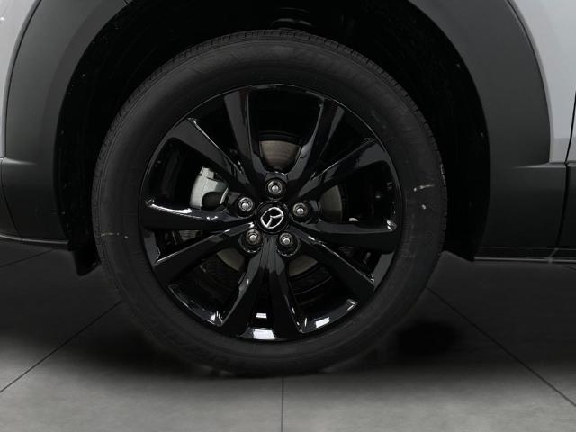 2025 Mazda CX-30 Vehicle Photo in Appleton, WI 54913