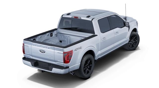 2025 Ford F-150 Vehicle Photo in Weatherford, TX 76087