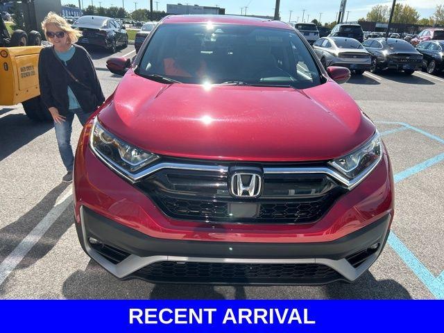2022 Honda CR-V Vehicle Photo in Merrillville, IN 46410