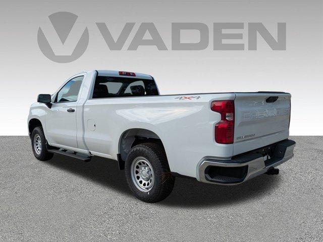 2025 Chevrolet Silverado 1500 Vehicle Photo in BRUNSWICK, GA 31525-1881