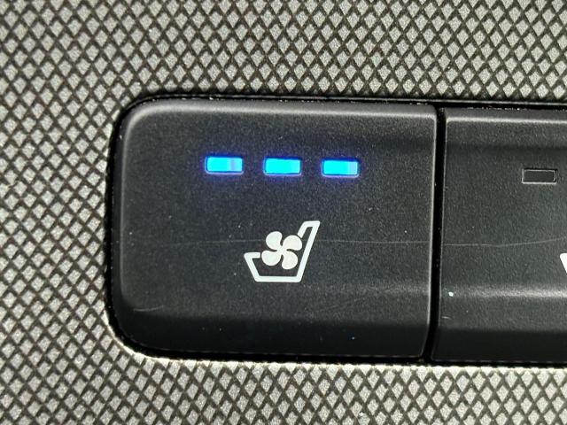 2020 Hyundai PALISADE Vehicle Photo in Statesboro, GA 30458