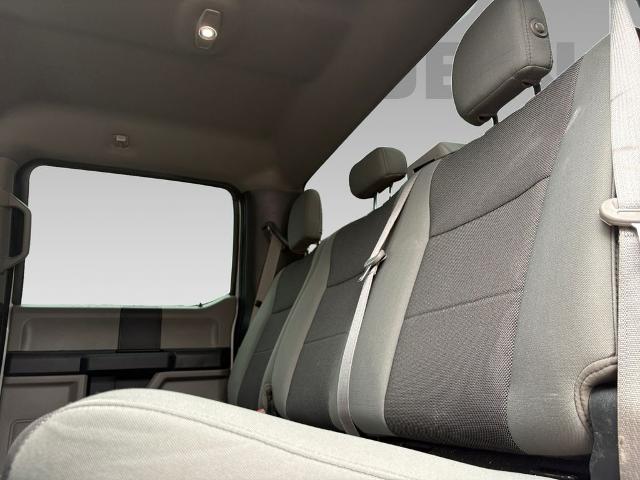 2019 Ford F-150 Vehicle Photo in Savannah, GA 31419