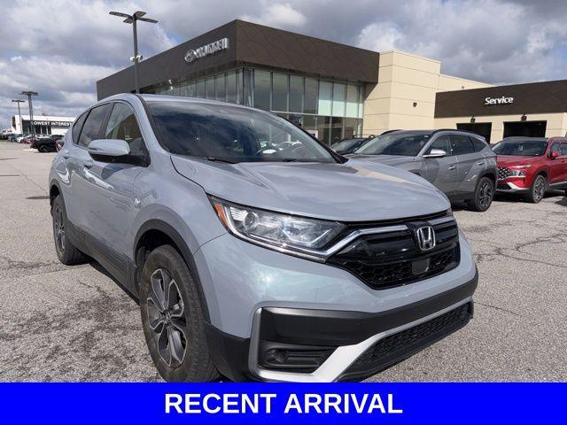 2020 Honda CR-V Vehicle Photo in Merrillville, IN 46410