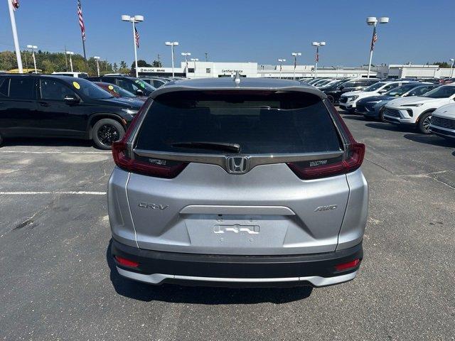 2022 Honda CR-V Vehicle Photo in ROCHESTER HILLS, MI 48307-2741