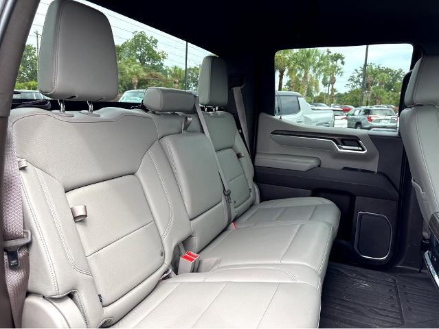 2023 GMC Sierra 1500 Vehicle Photo in BEAUFORT, SC 29906-4218