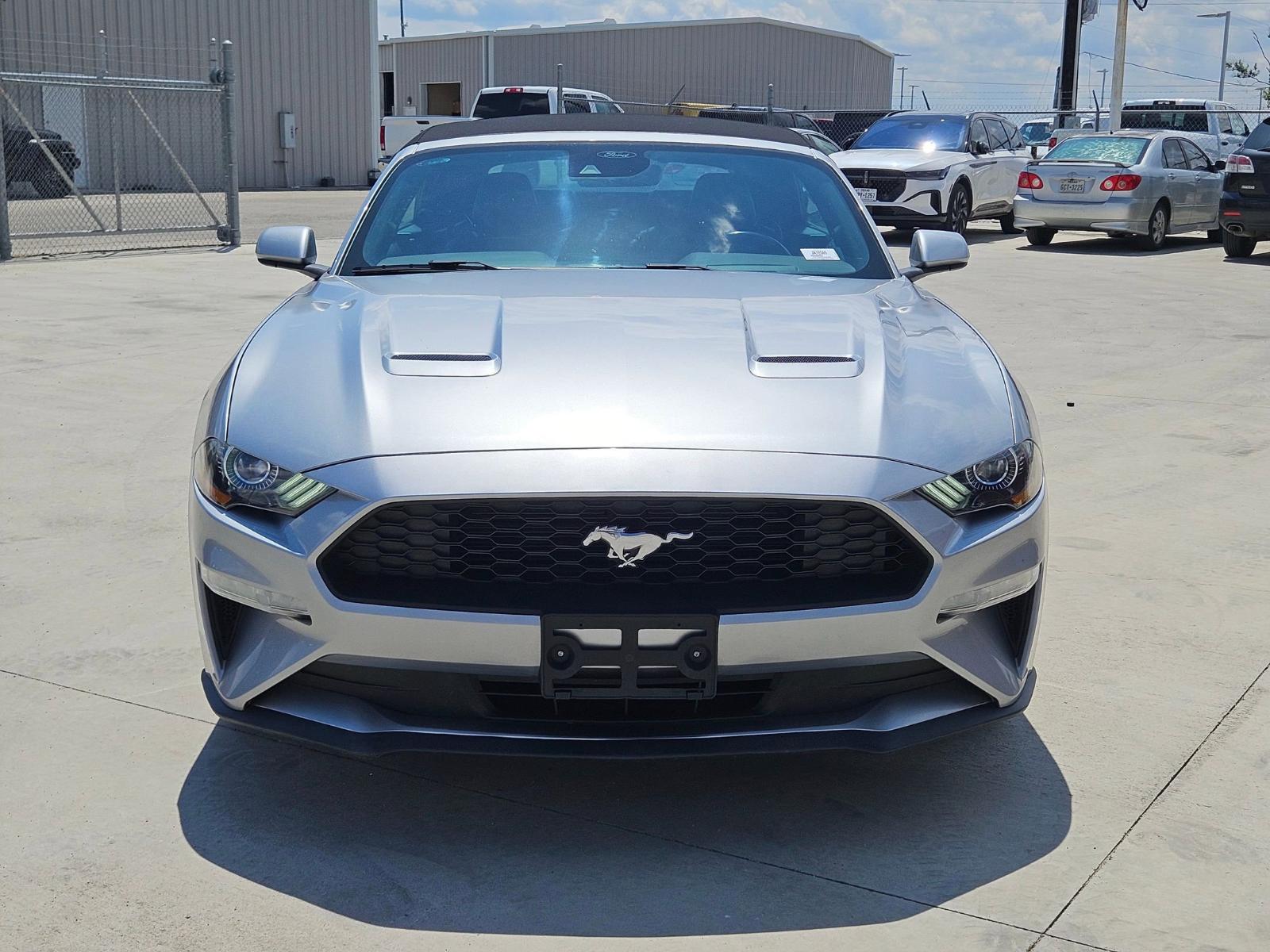 2023 Ford Mustang Vehicle Photo in Seguin, TX 78155