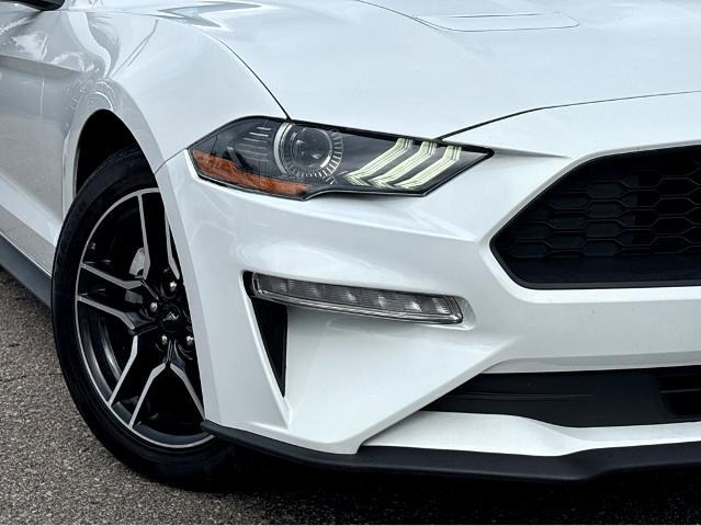 2022 Ford Mustang Vehicle Photo in BEAUFORT, SC 29906-4218