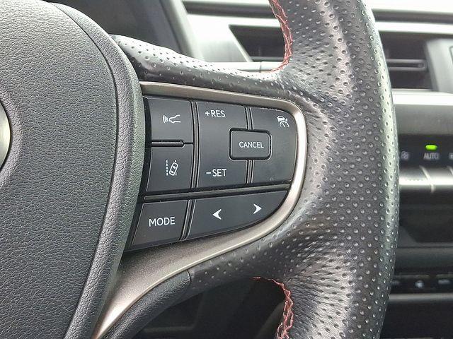 2020 Lexus UX 250h Vehicle Photo in DANBURY, CT 06810-5034