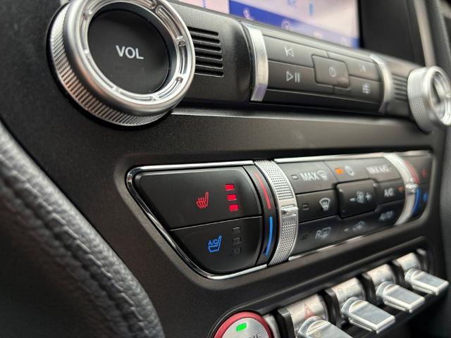 2021 Ford Mustang Vehicle Photo in Savannah, GA 31419