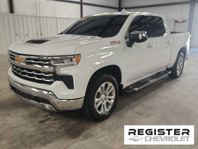 2024 Chevrolet Silverado 1500 Vehicle Photo in SPRING HILL, FL 34613-2707