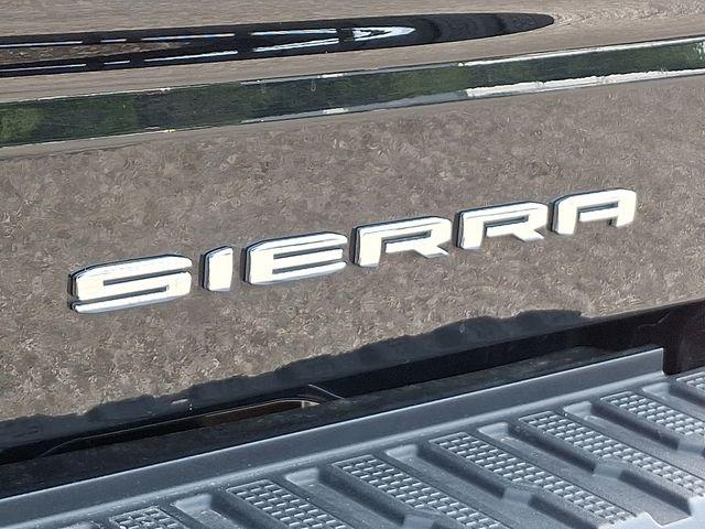 2023 GMC Sierra 1500 Vehicle Photo in DANBURY, CT 06810-5034