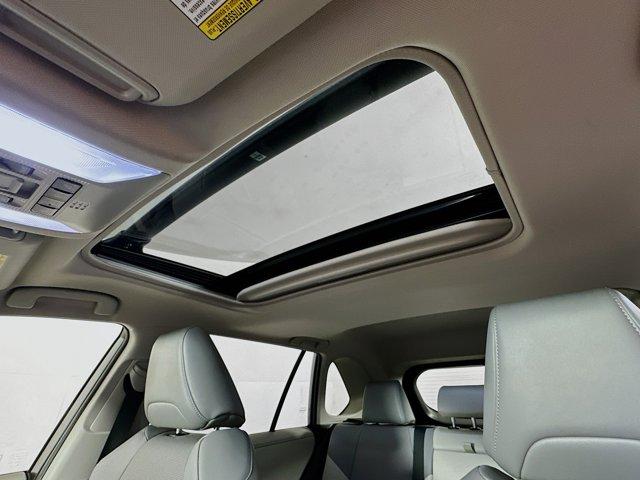 2019 Toyota RAV4 Vehicle Photo in Flemington, NJ 08822
