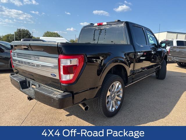 2023 Ford F-150 Vehicle Photo in Weatherford, TX 76087