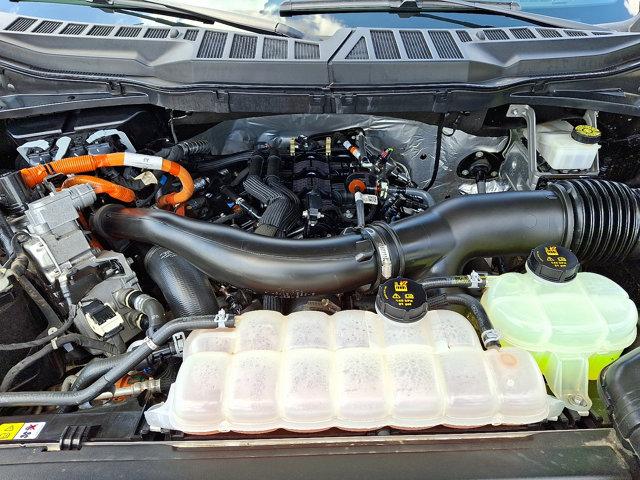 2024 Ford F-150 Vehicle Photo in Philadelphia, PA 19116