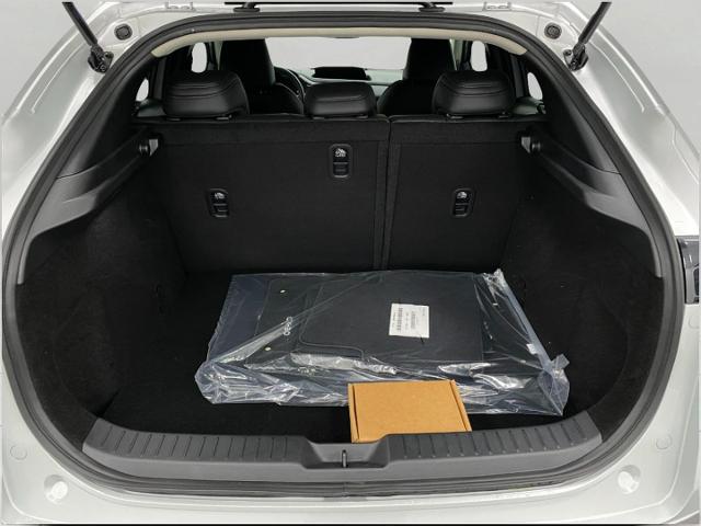 2025 Mazda CX-30 Vehicle Photo in Appleton, WI 54913