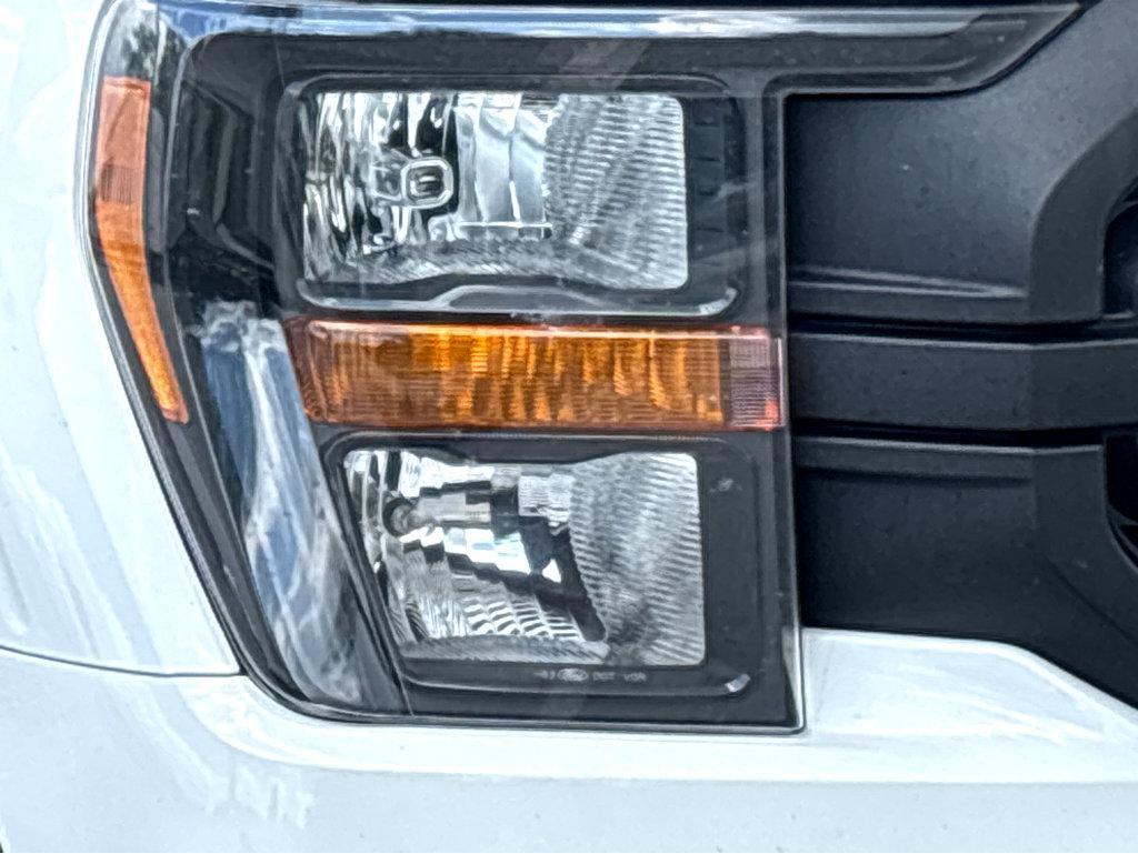 2023 Ford F-150 Vehicle Photo in POOLER, GA 31322-3252