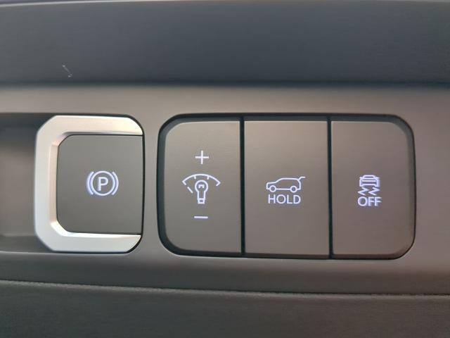 2025 Hyundai SANTA FE Vehicle Photo in Brunswick, GA 31525