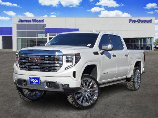 2024 GMC Sierra 1500 Vehicle Photo in Decatur, TX 76234