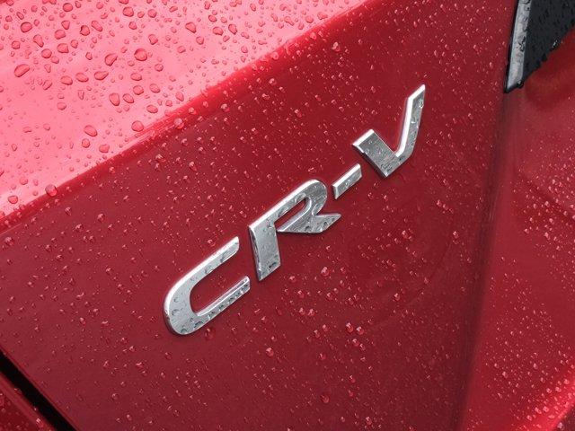 2020 Honda CR-V Vehicle Photo in Decatur, TX 76234