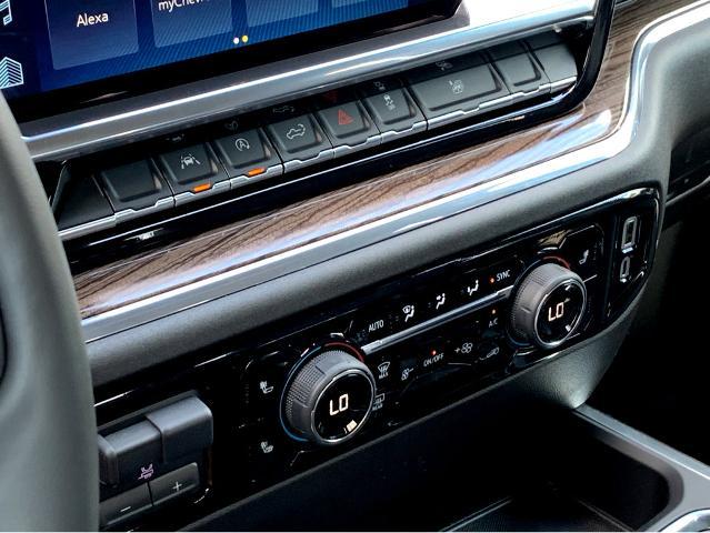 2025 Chevrolet Silverado 1500 Vehicle Photo in BEAUFORT, SC 29906-4218