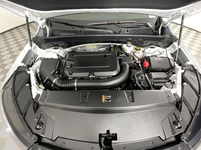 2023 Buick Envision Vehicle Photo in GILBERT, AZ 85297-0402
