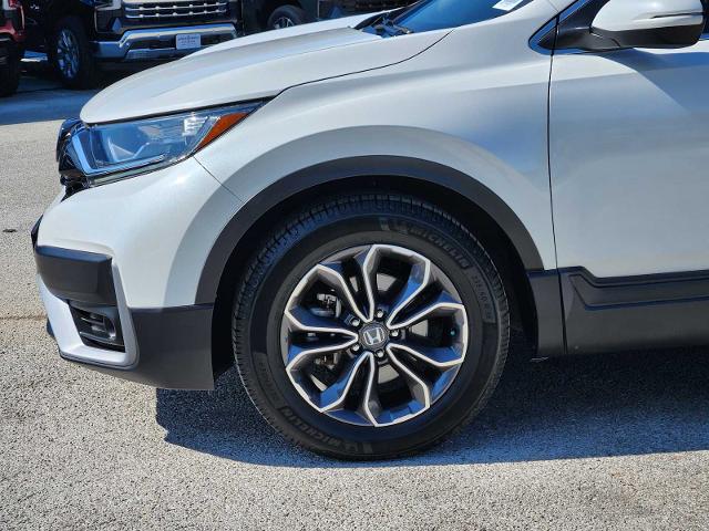 2021 Honda CR-V Vehicle Photo in DENTON, TX 76210-9321