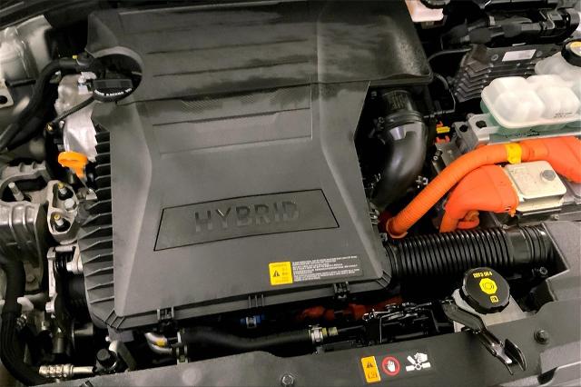 2019 Kia Niro Vehicle Photo in Lees Summit, MO 64086