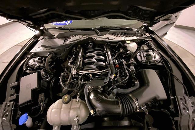 2023 Ford Mustang Vehicle Photo in INDEPENDENCE, MO 64055-1314