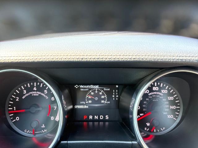 2021 Ford Mustang Vehicle Photo in Statesboro, GA 30458