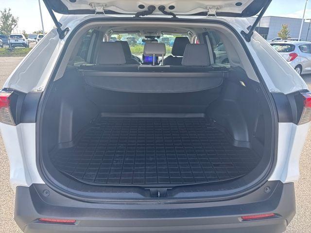 2023 Toyota RAV4 Vehicle Photo in Jonesboro, AR 72404